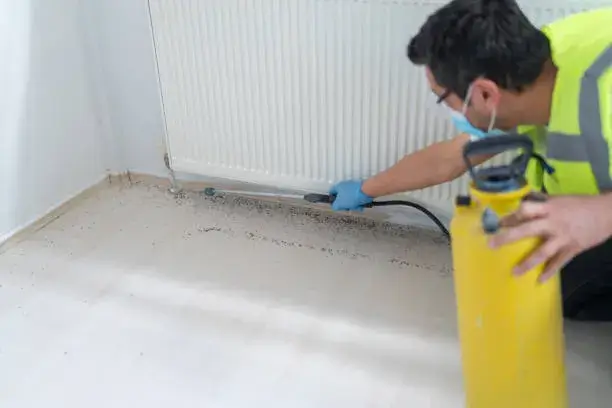 Affordable pest control near me – Trusted exterminators in Dubai starting just AED 99 with UrbanMop
